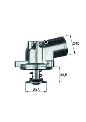 Termostat, chladivo MAHLE TI2187