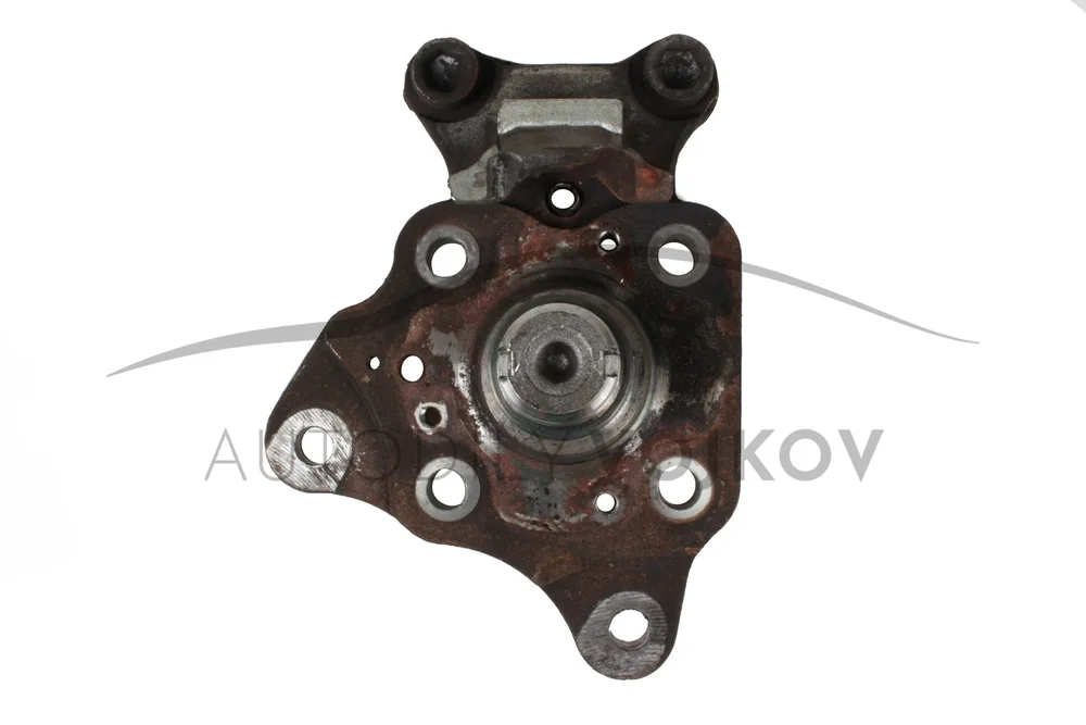 Rejdový čep zadního kola levý L v:18148