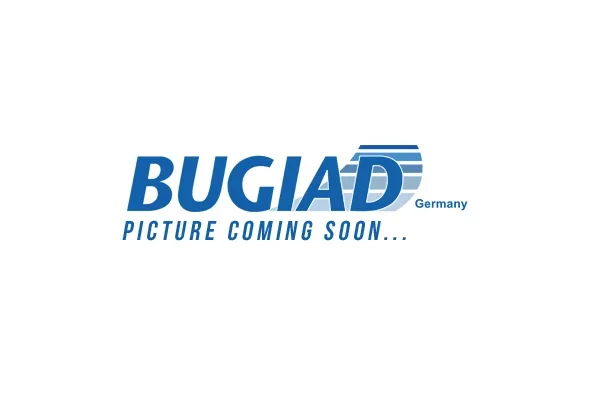 Hadička plnicího vzduchu BUGIAD 82344 Hadička plnicího vzduchu BUGIAD 82344