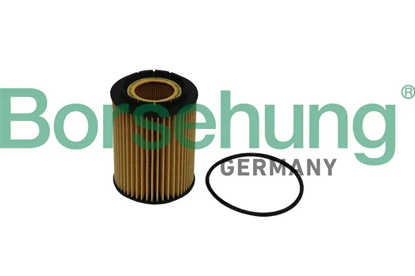 Olejový filtr Borsehung B10516 – OE 021115562A