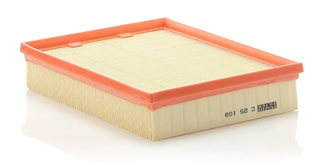 Vzduchový filtr MANN-FILTER C25109 – OE 8200576596