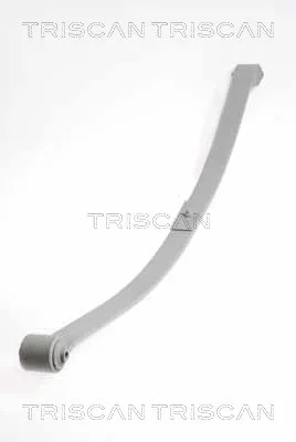 Paket pružin TRISCAN 876529020